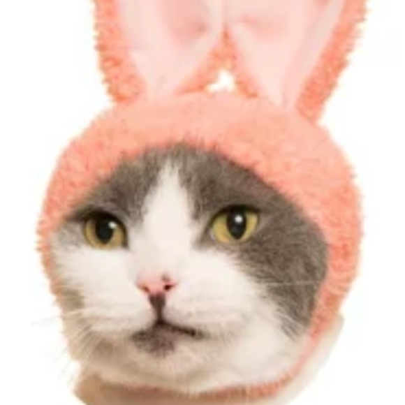 Marco - Picture 1 of 1